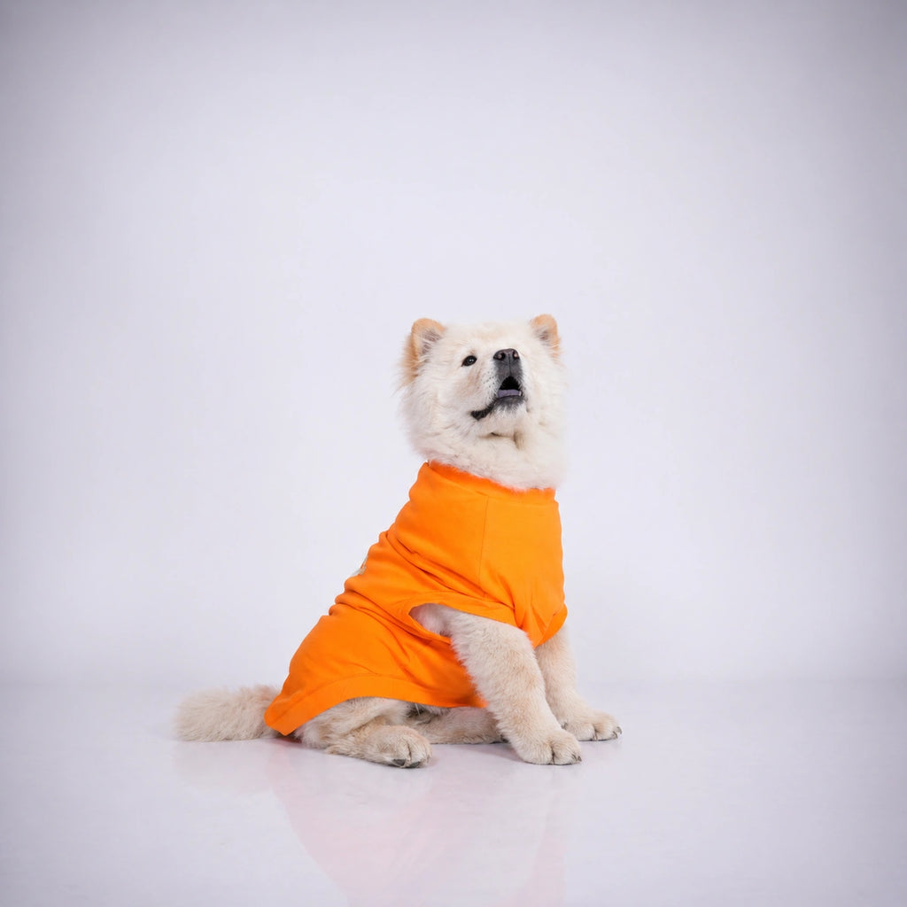 Thunder Tails PUP IN TRAINING Adjustable Graphic T-shirt