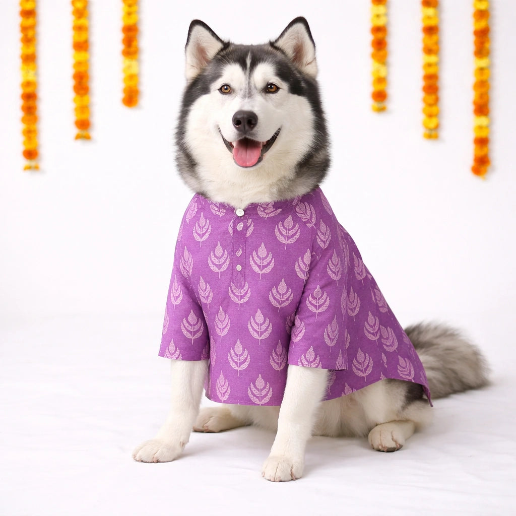 Thunder Tails Black Lavender Festive Dog Kurta