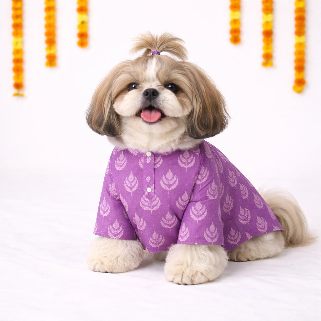 Thunder Tails Black Lavender Festive Dog Kurta