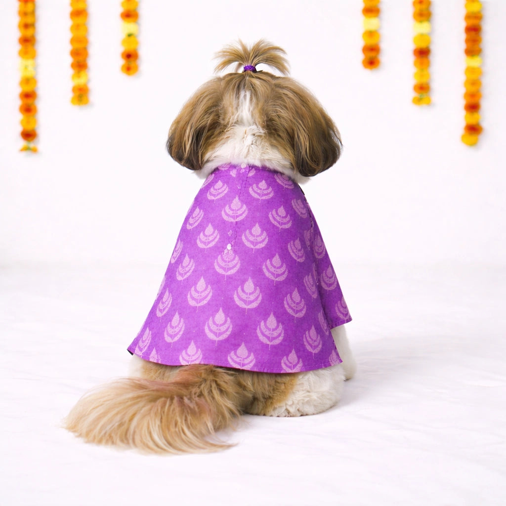 Thunder Tails Black Lavender Festive Dog Kurta