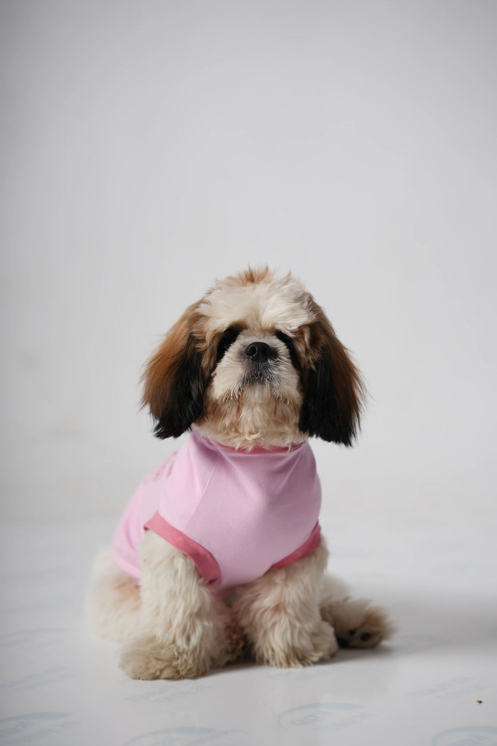 Thunder Tails QUEEN OF THE HOUSE Adjustable Graphic T-shirt