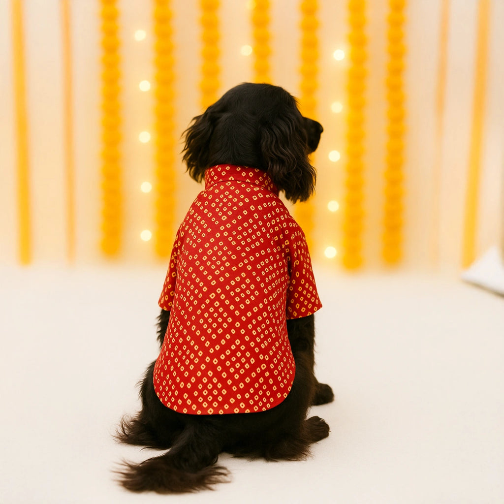 Thunder Tails Red Bandhani Festive Kurta