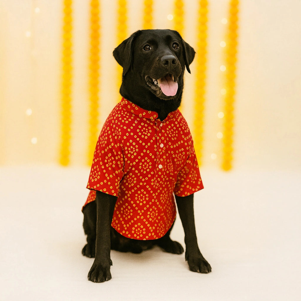 Thunder Tails Red Bandhani Festive Kurta