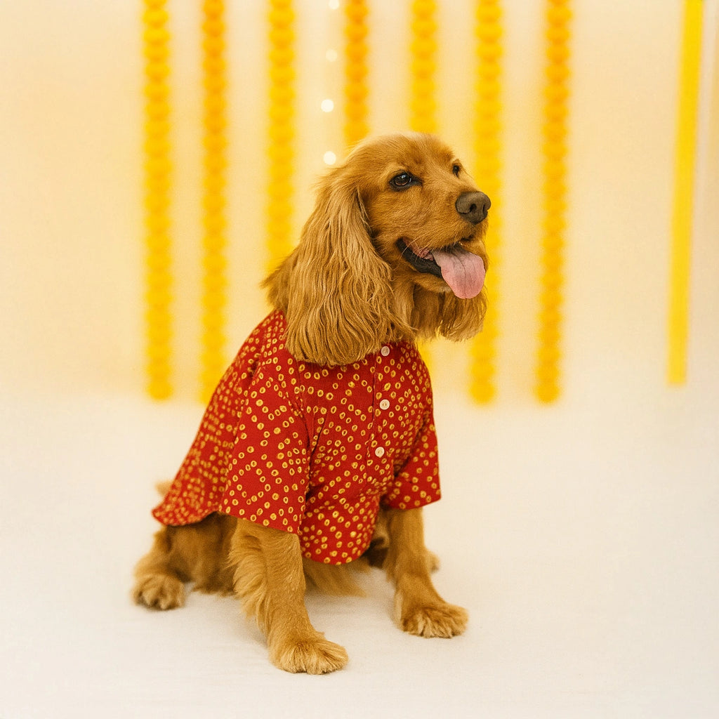 Thunder Tails Red Bandhani Festive Kurta