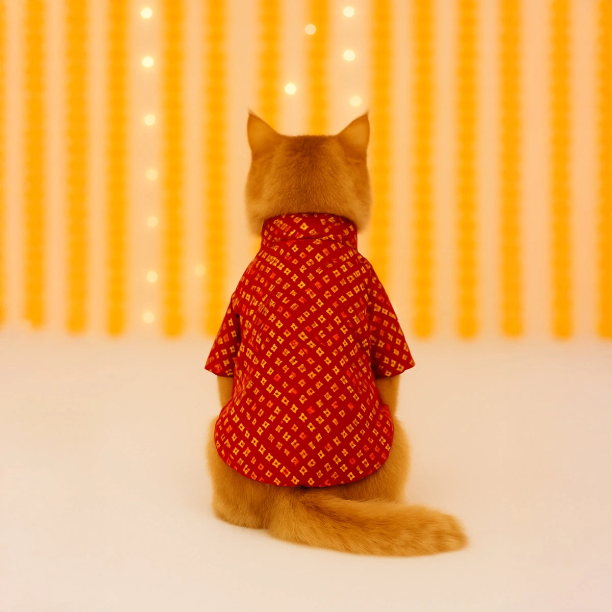 Thunder Tails Red Bandhani Cat Festive Kurta