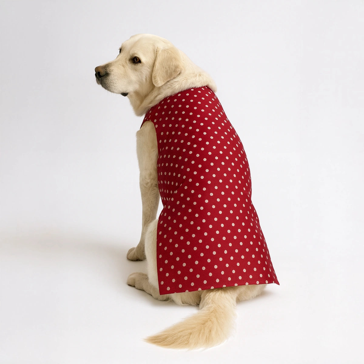 Thunder Tails Red Polka Festive Sherwani