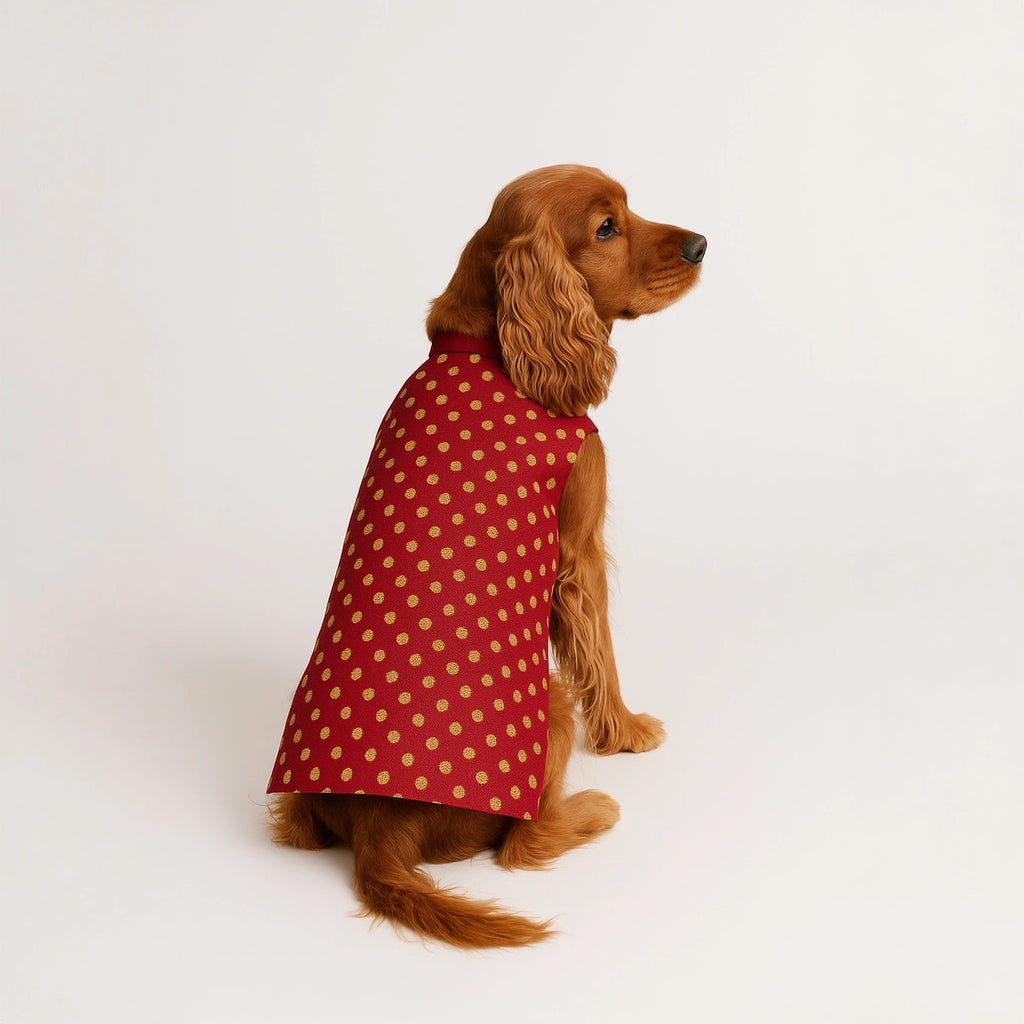 Thunder Tails Red Polka Festive Sherwani