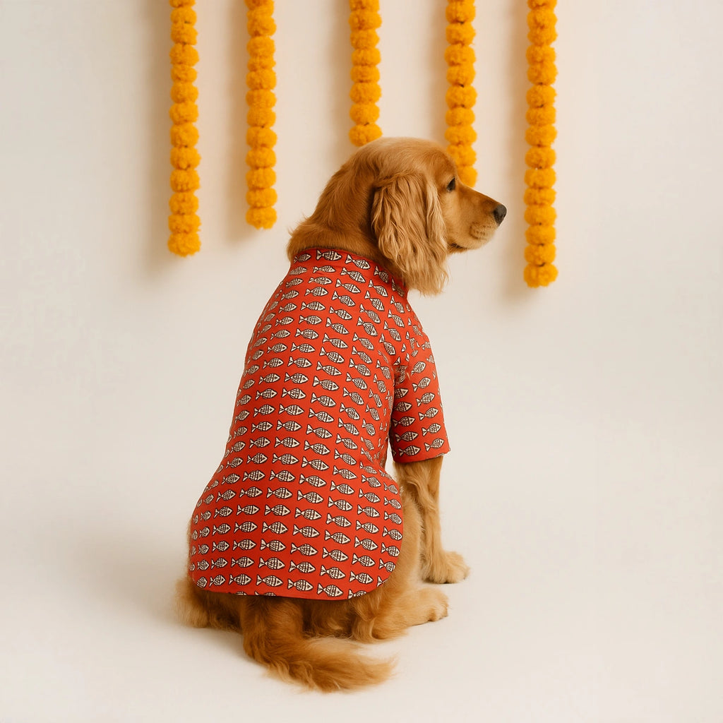 Thunder Tails Red Festive Kurta