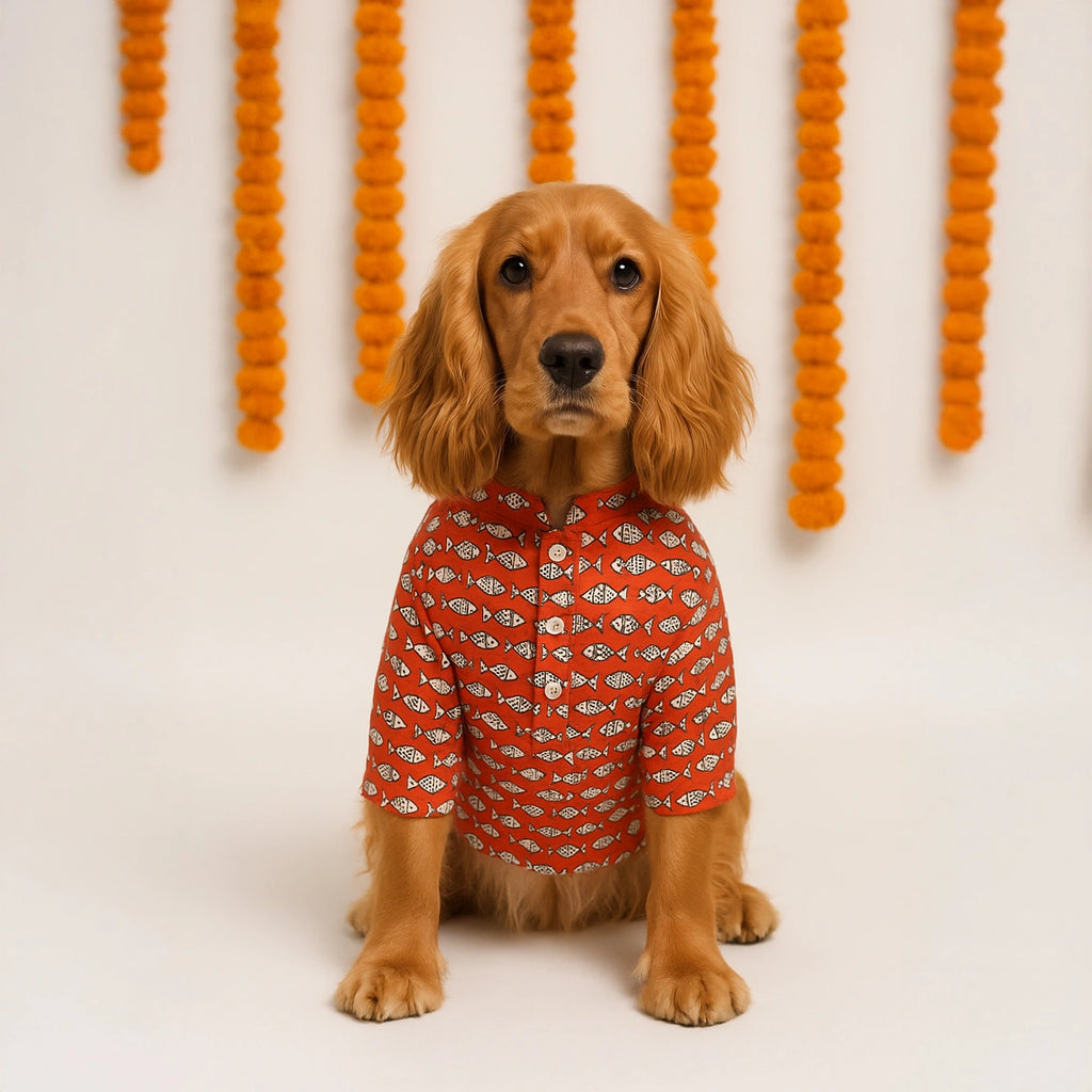 Thunder Tails Red Festive Kurta
