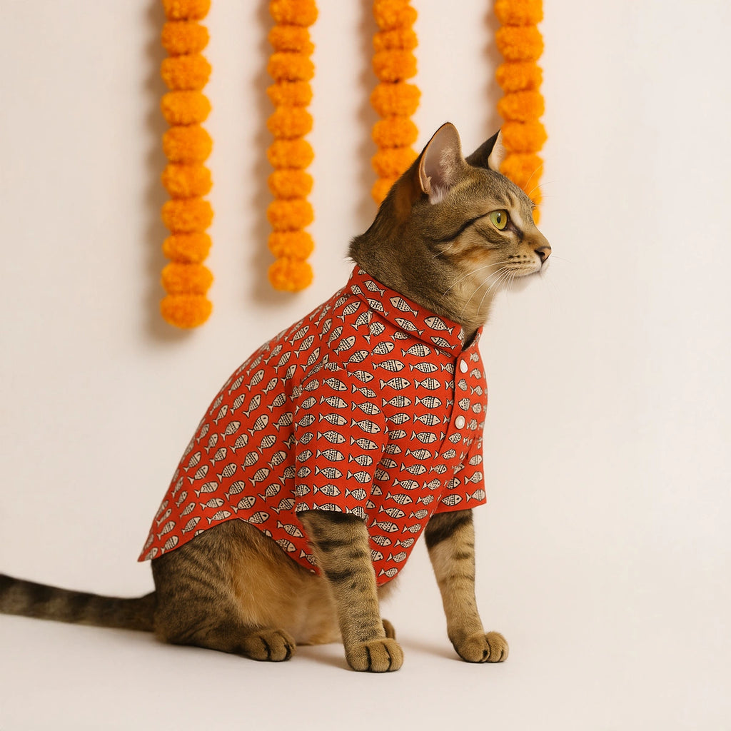 Thunder Tails Red Festive Kurta