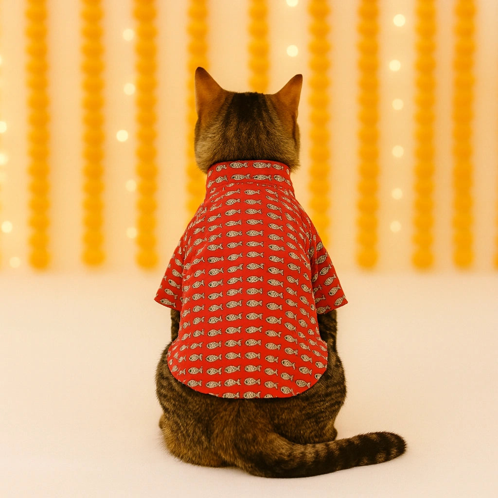 Thunder Tails Red Cat Festive Kurta