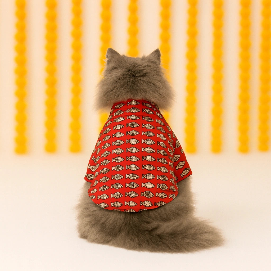 Thunder Tails Red Cat Festive Kurta