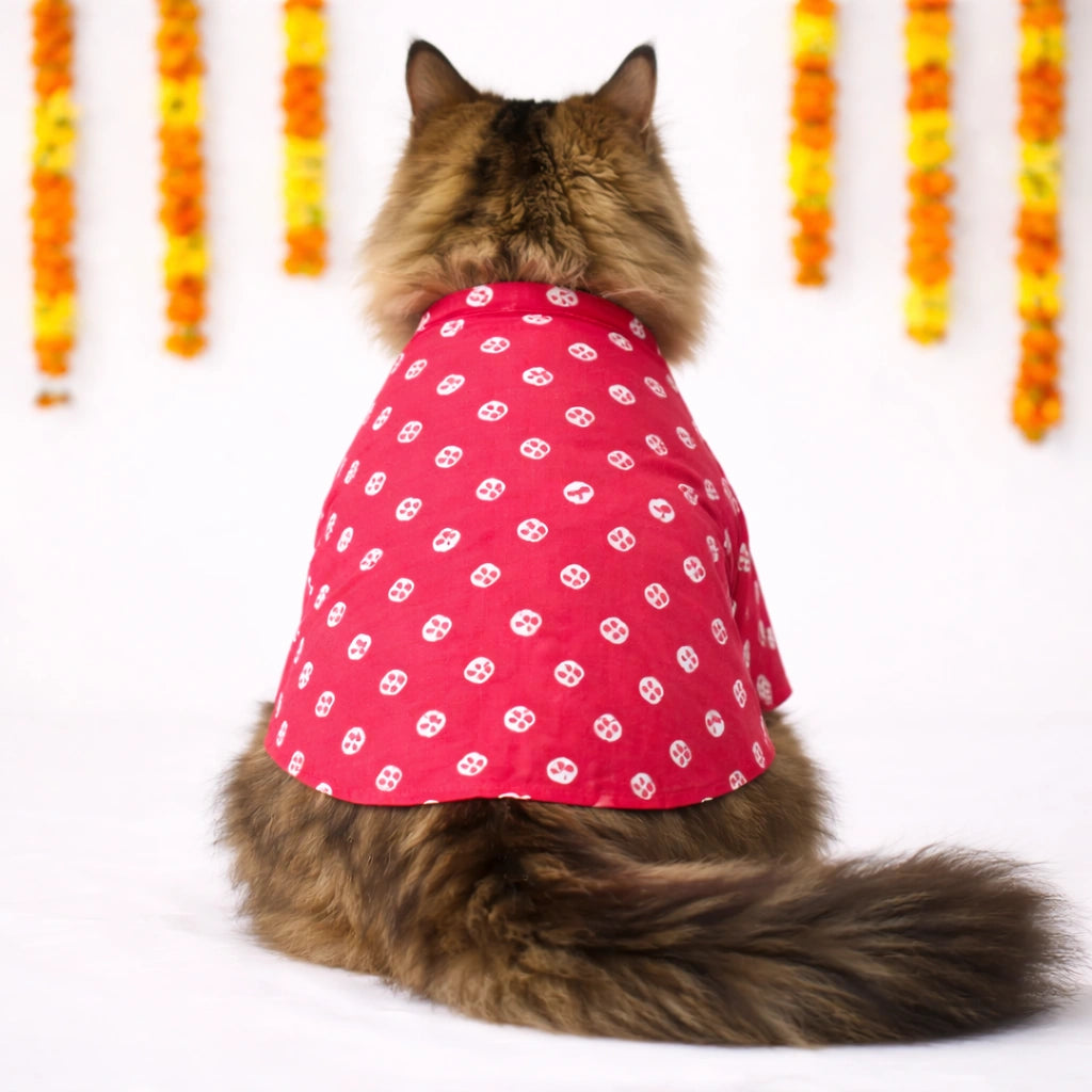 Thunder Tails Red Cat Festive Kurta