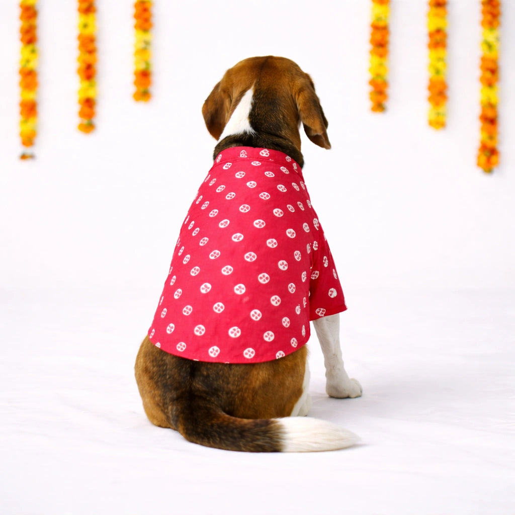 Thunder Tails Black Red Festive Dog Kurta