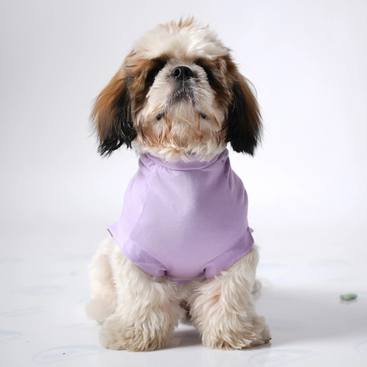 Thunder Tails SHIH TZU Adjustable Graphic T-shirt