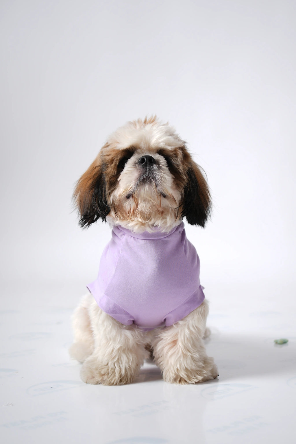 Thunder Tails SHIH TZU Adjustable Graphic T-shirt