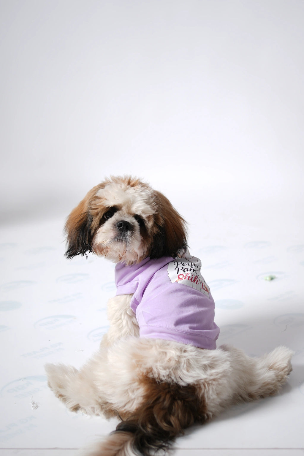 Thunder Tails SHIH TZU Adjustable Graphic T-shirt