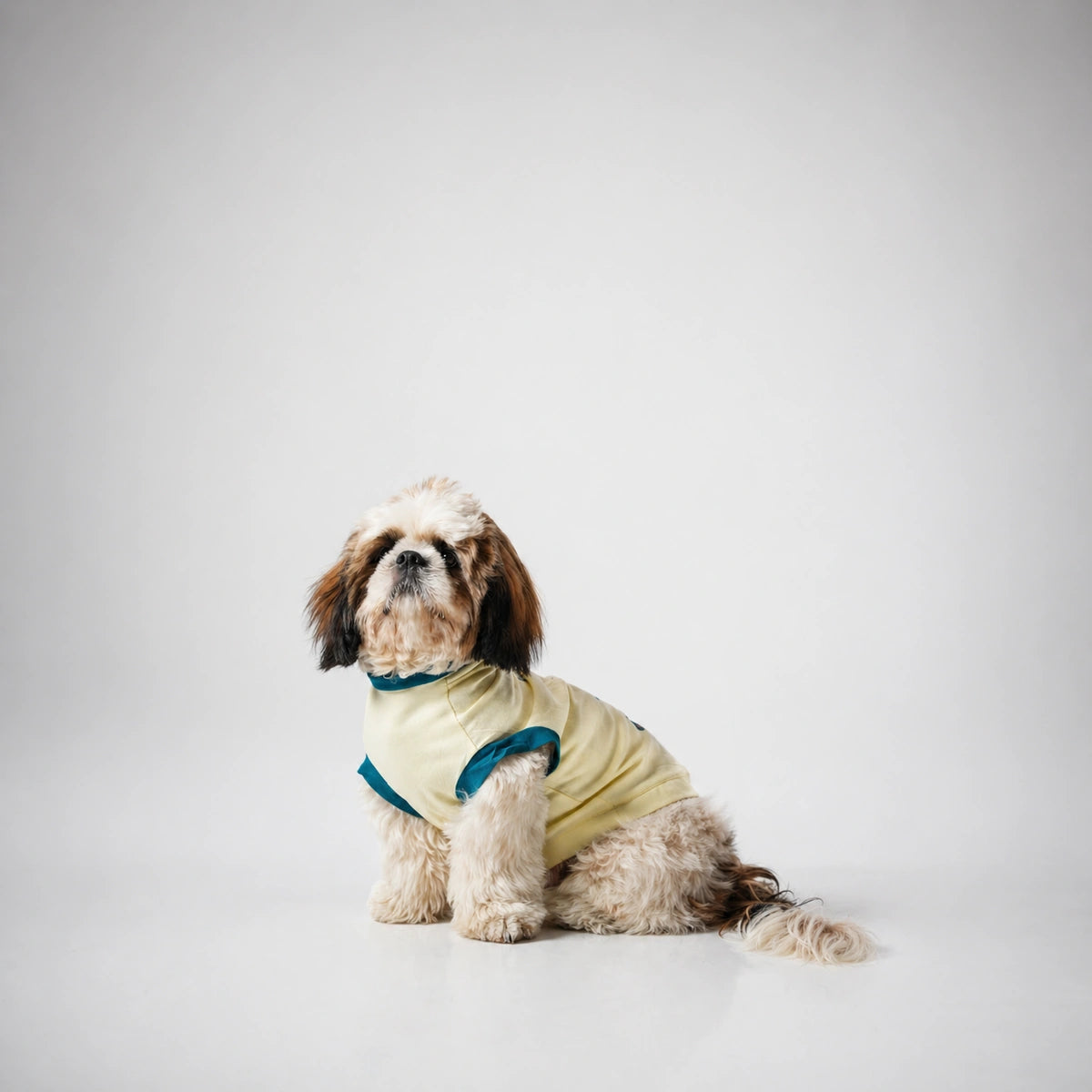 Thunder Tails Small DOg, Big Attitude Adjustable Graphic T-shirt
