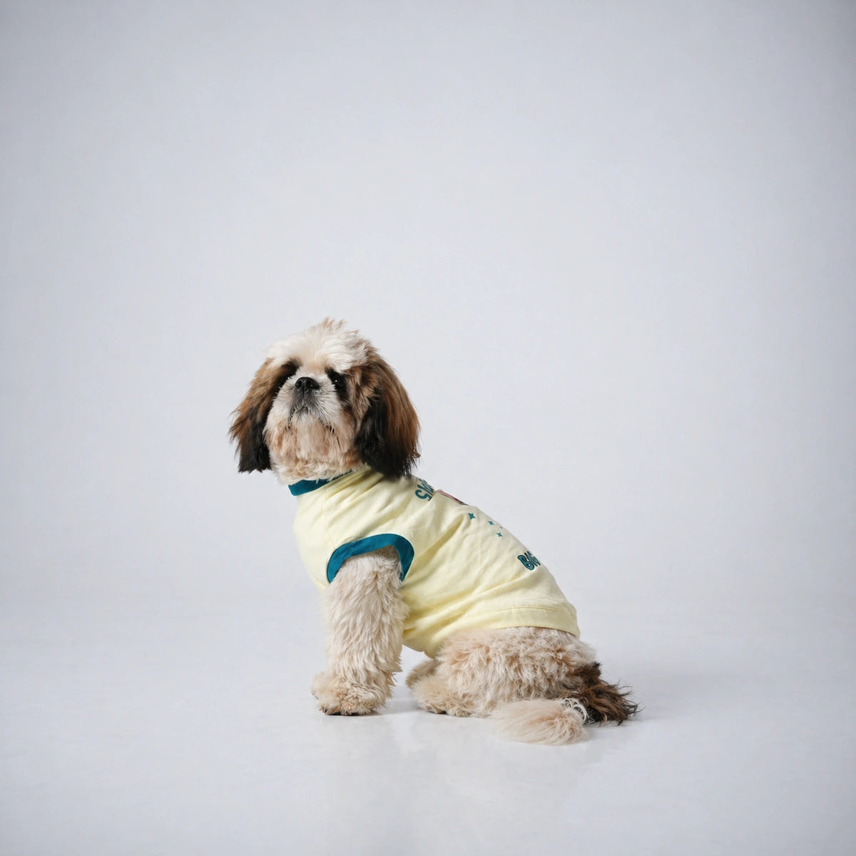 Thunder Tails Small DOg, Big Attitude Adjustable Graphic T-shirt