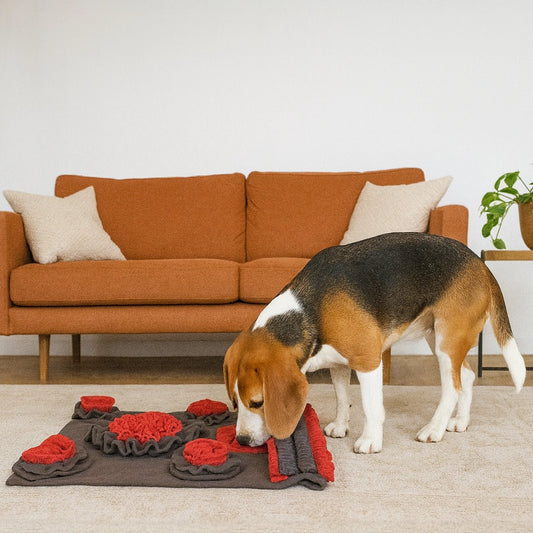 Thunder Tails Treat Trail Snuffle Mats-Red/Grey