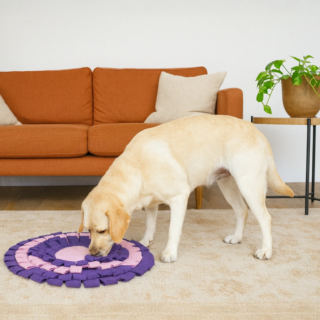 Thunder Tails Treat Trail Snuffle Mats-Pink/Purple