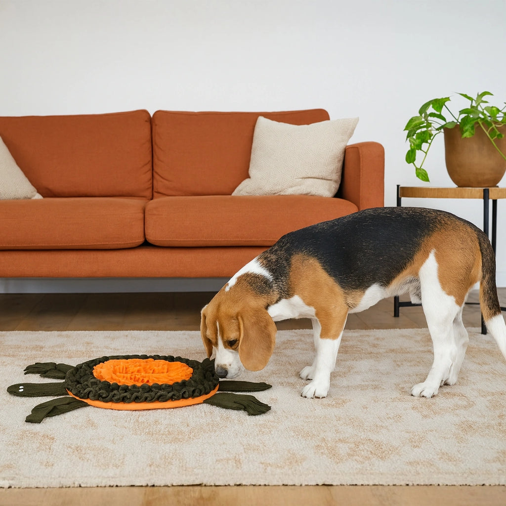 Thunder Tails Treat Trail Snuffle Mats- Dark Green/Orange
