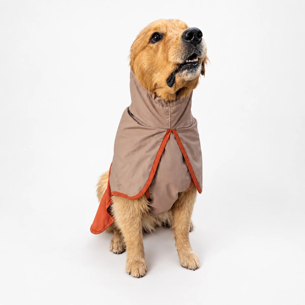 Thunder Tails Splash Dash Dog Raincoat - Beige/Tan