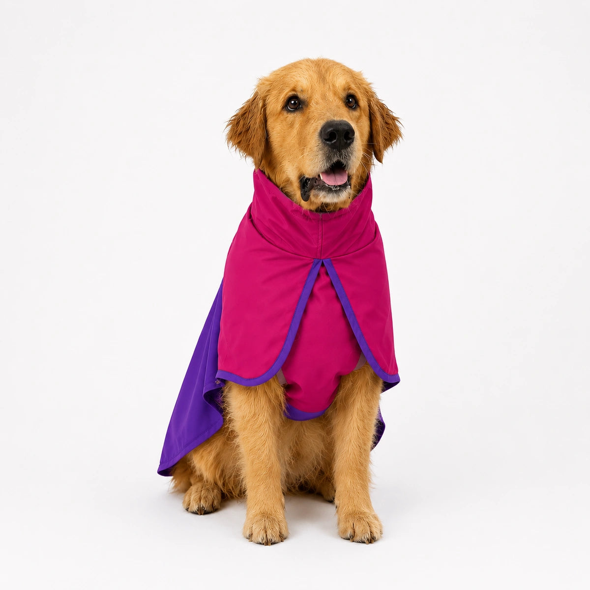 Thunder Tails Splash Dash Dog Raincoat - Pink/Purple