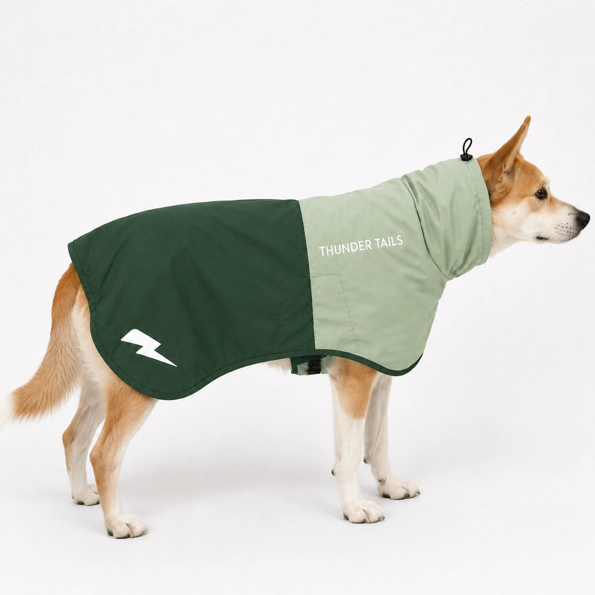 Thunder Tails Splash Dash Dog Raincoat - Sage Green/Dark Green