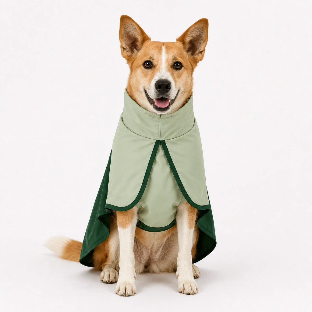 Thunder Tails Splash Dash Dog Raincoat - Sage Green/Dark Green