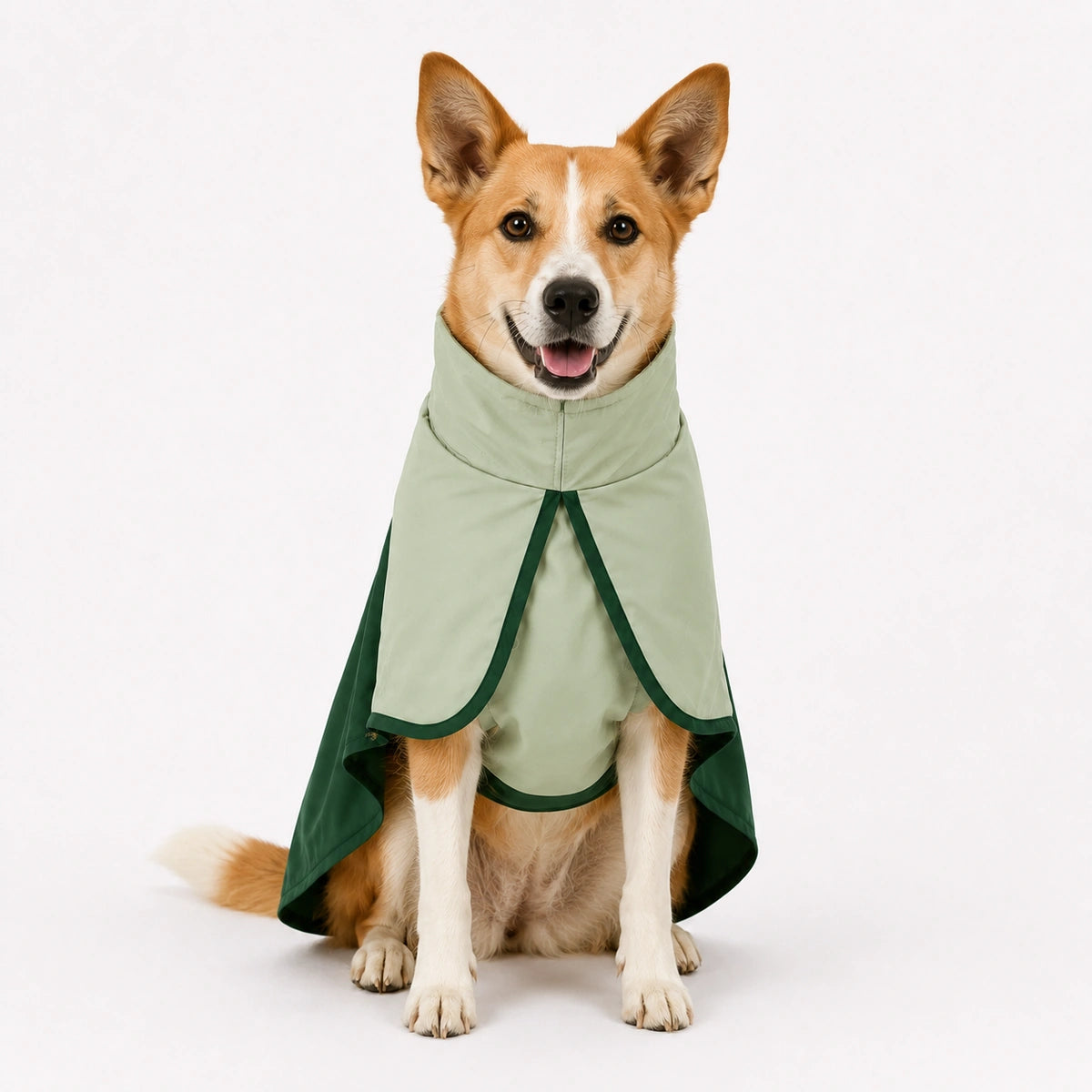 Thunder Tails Splash Dash Dog Raincoat - Sage Green/Dark Green