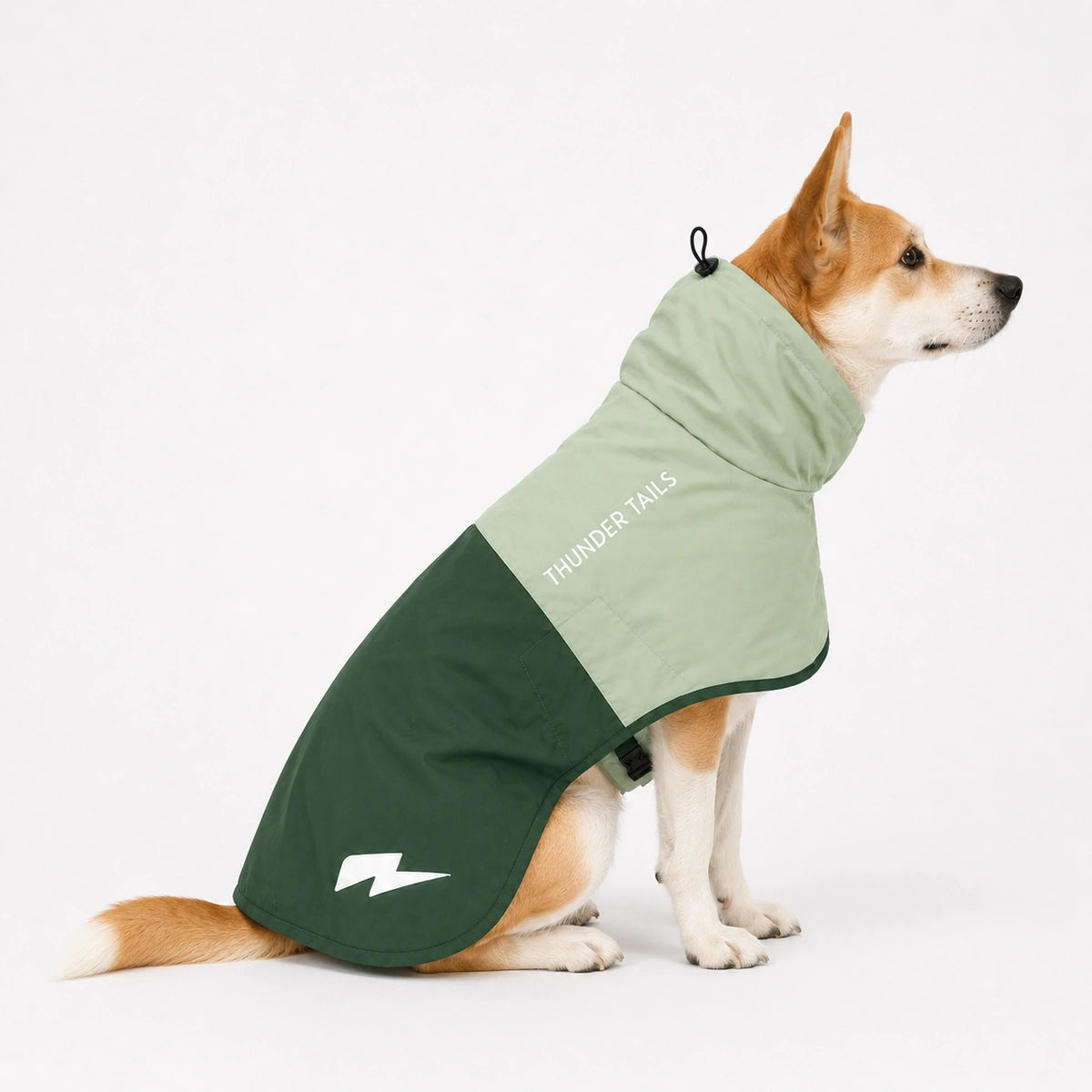 Thunder Tails Splash Dash Dog Raincoat - Sage Green/Dark Green