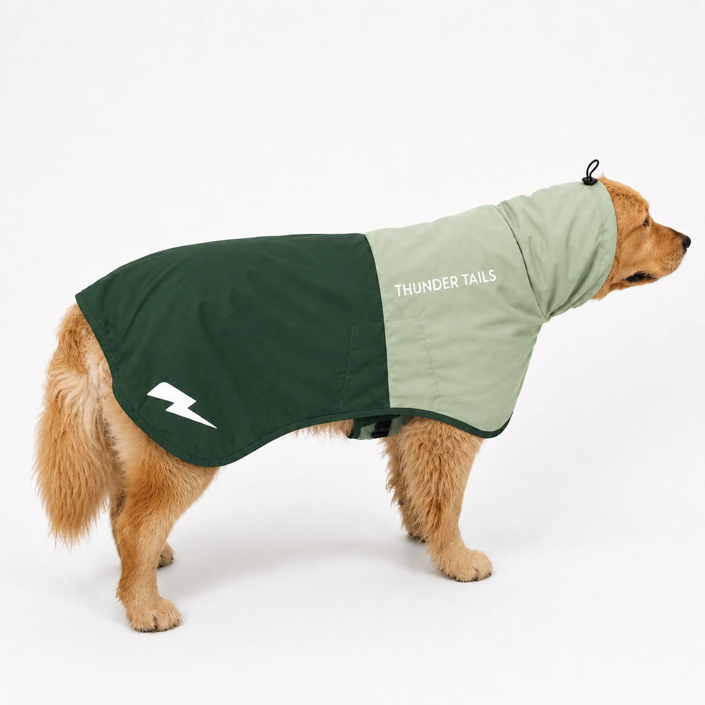 Thunder Tails Splash Dash Dog Raincoat - Sage Green/Dark Green