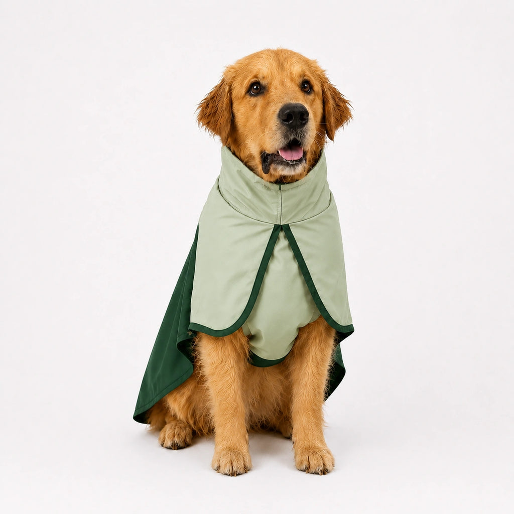 Thunder Tails Splash Dash Dog Raincoat - Sage Green/Dark Green
