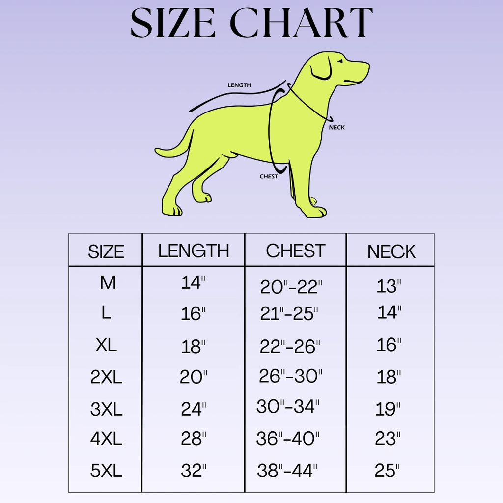 Thunder Tails Splash Dash Dog Raincoat - Sage Green/Dark Green