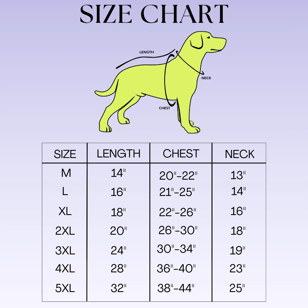 Thunder Tails Splash Dash Dog Raincoat - Sage Green/Dark Green