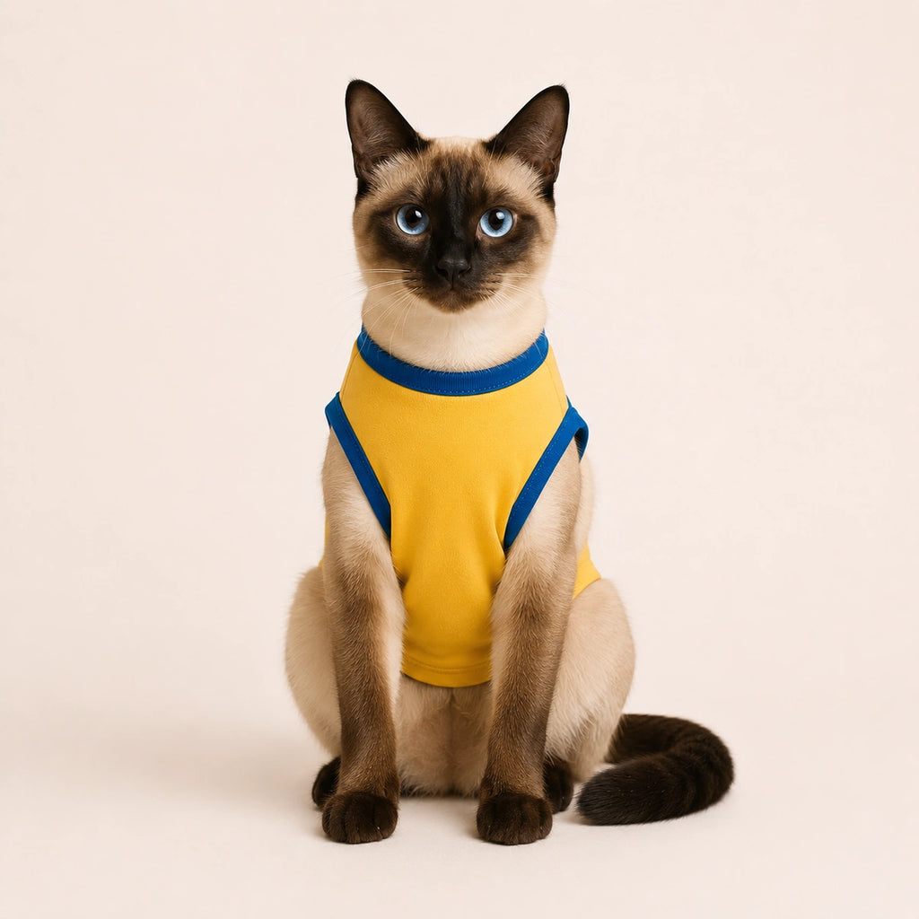 Thunder Tails Sleep Stretch Ignore Repeat Tailored Fit T-shirt