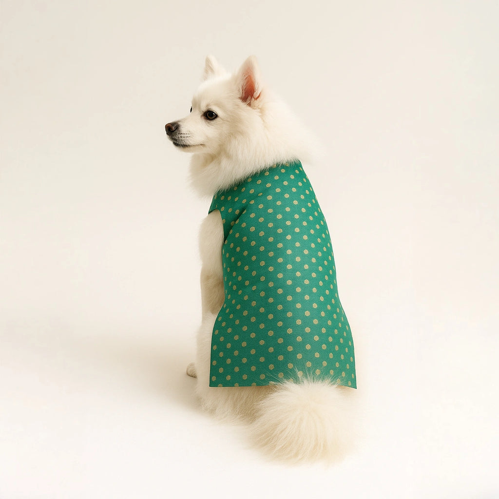Thunder Tails Teal Polka Festive Sherwani