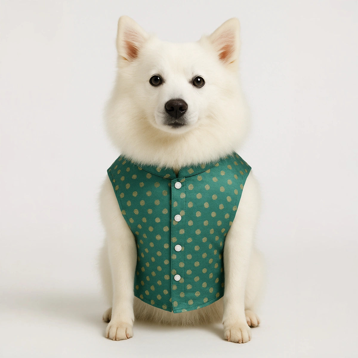 Thunder Tails Teal Polka Festive Sherwani