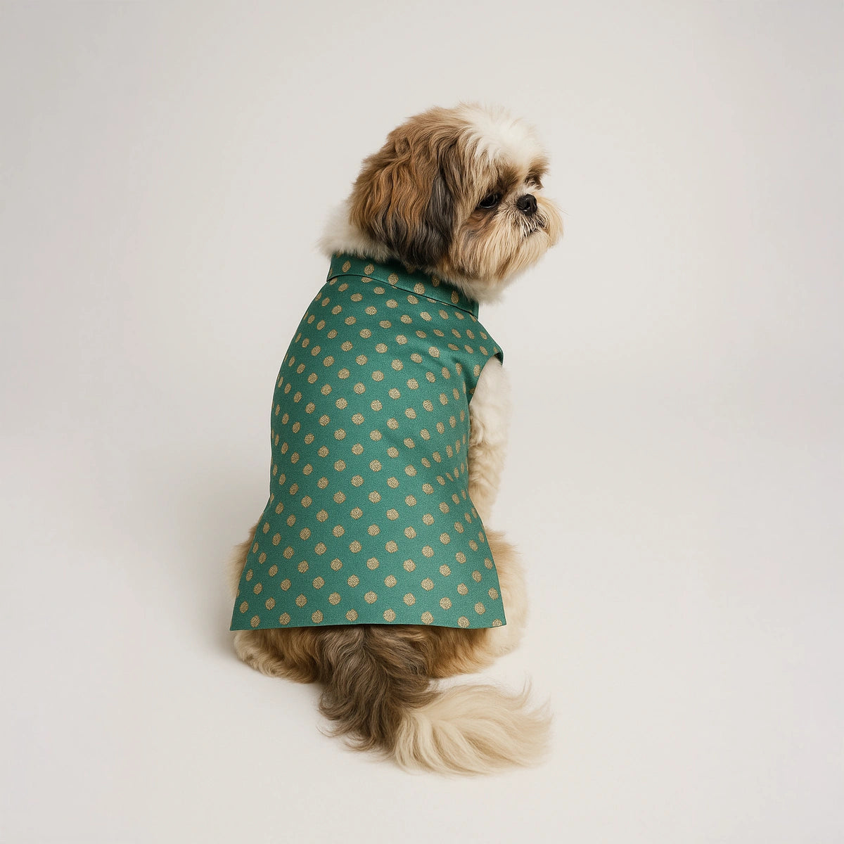 Thunder Tails Teal Polka Festive Sherwani