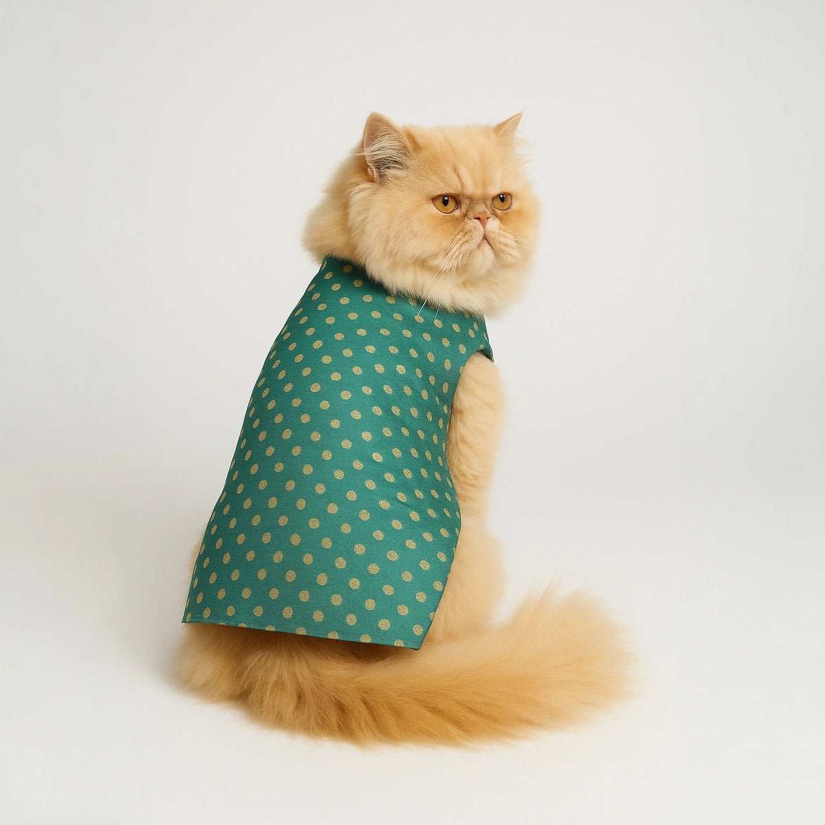 Thunder Tails Teal Polka Festive Sherwani