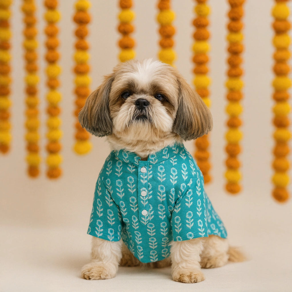 Thunder Tails Teal Festive Kurta