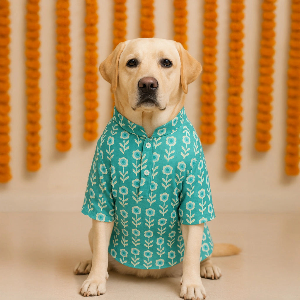 Thunder Tails Teal Festive Kurta