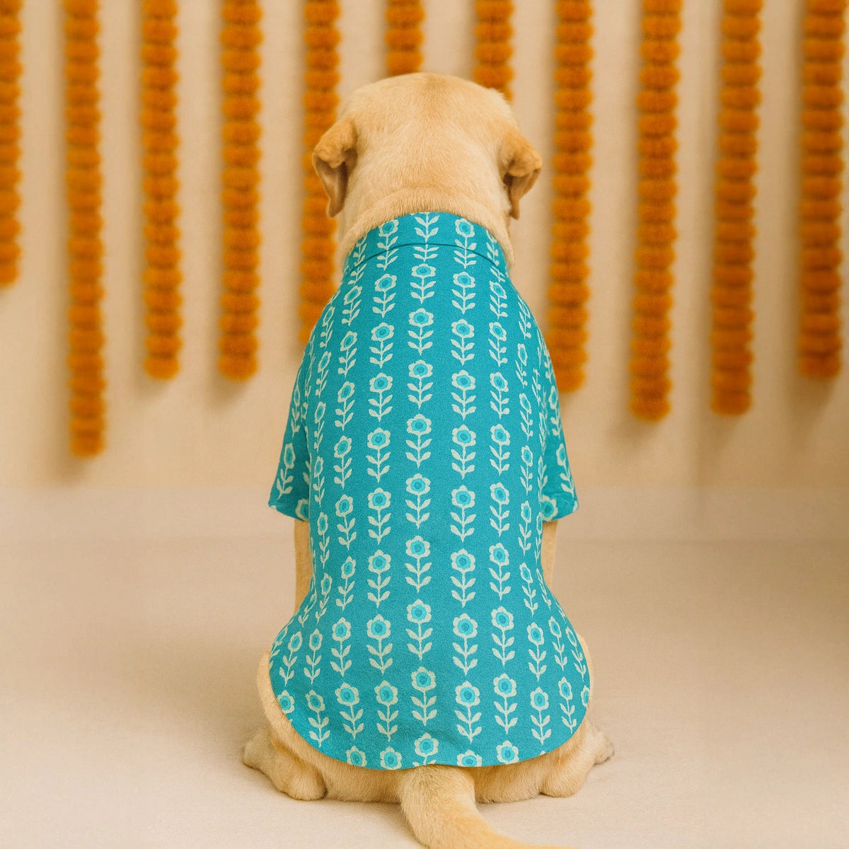 Thunder Tails Teal Festive Kurta