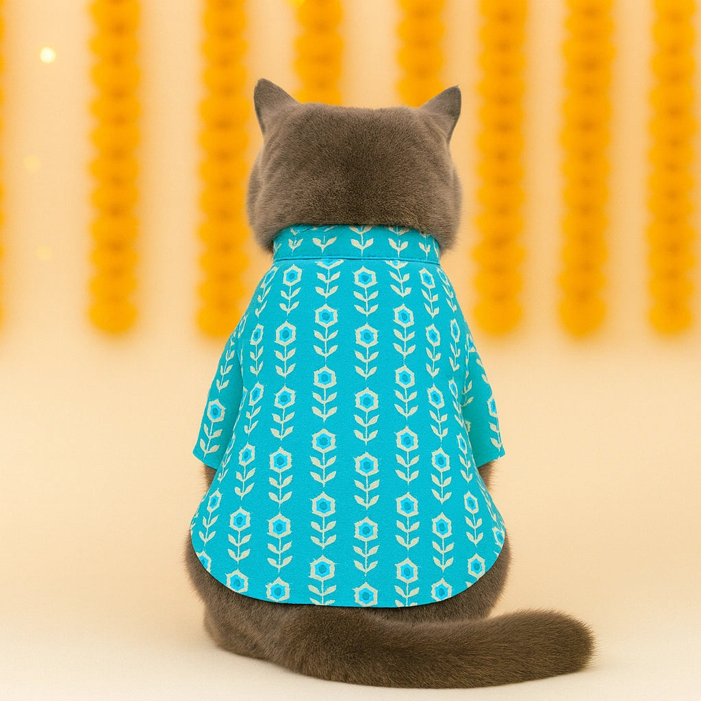 Thunder Tails Teal Cat Festive Kurta