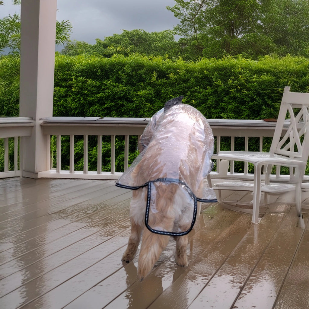 Thunder Tails Transparent Raincoat