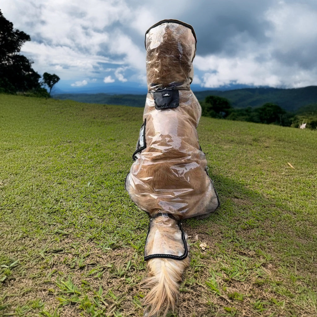 Thunder Tails Transparent Raincoat