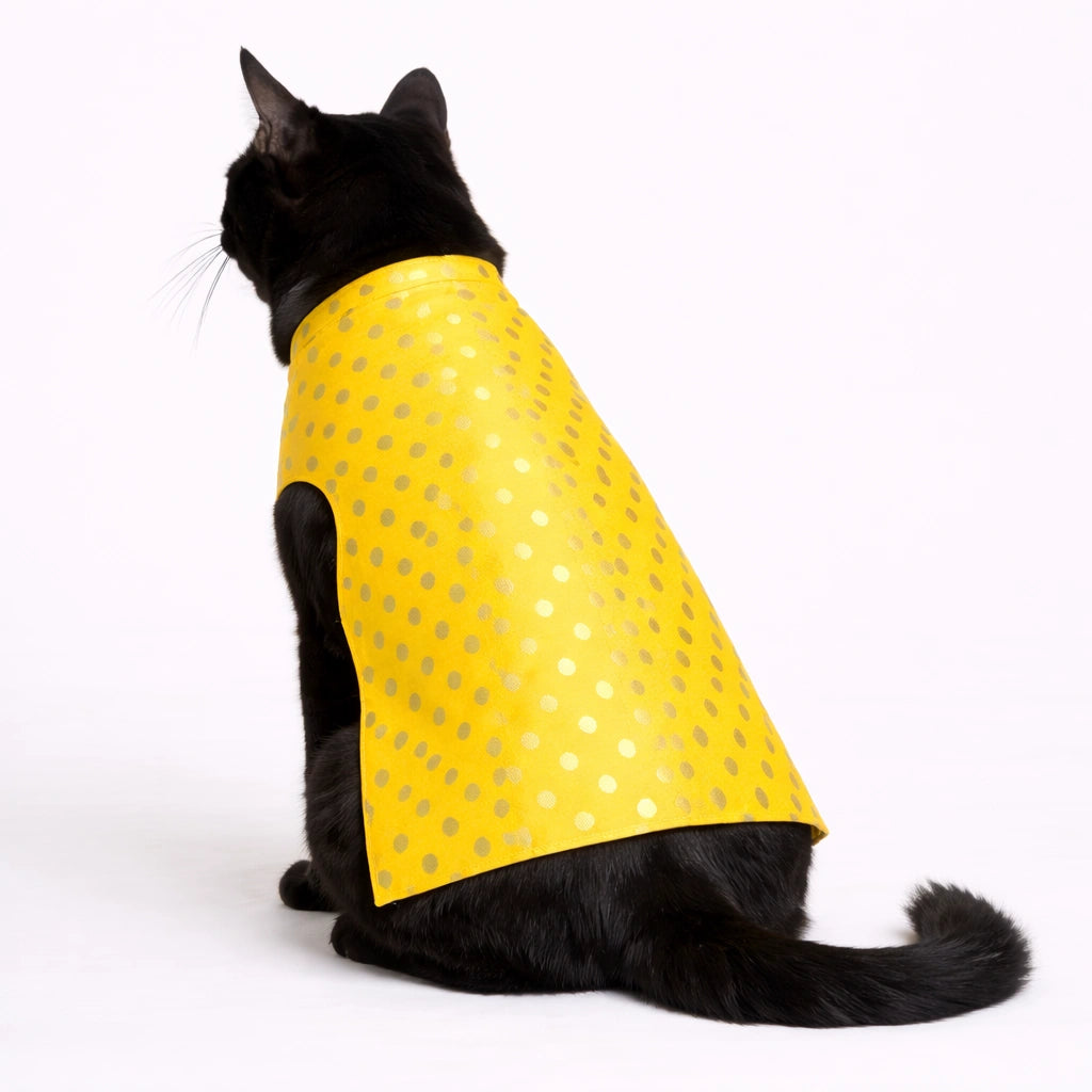 Thunder Tails Yellow Polka Cat Festive Sherwani