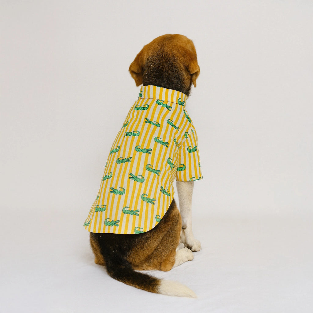 Thunder Tails Yellow Stripe Crocodile Casual Shirt