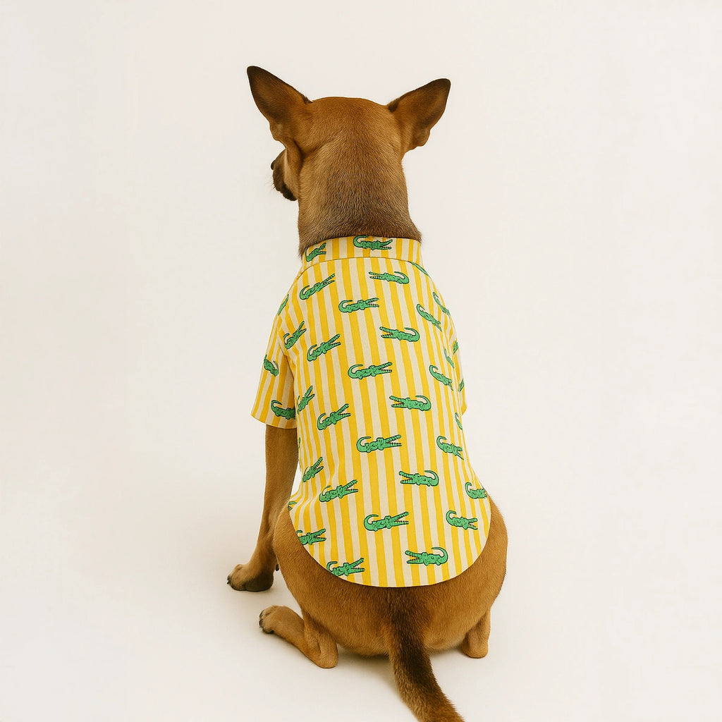 Thunder Tails Yellow Stripe Crocodile Casual Shirt
